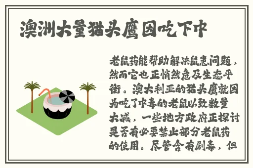 久久精品国产网红主播99