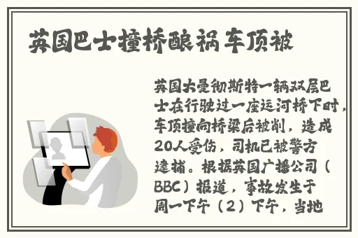天美传媒艳母